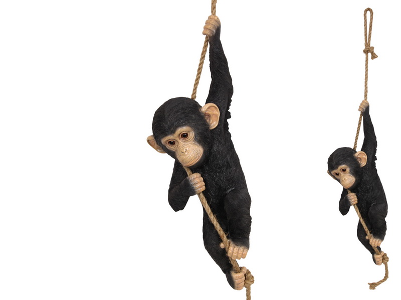Hanging Chimpanzee on Rope (Large)